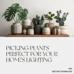 Picking Plants Perfect for Your Home’s Lighting | AI Plant Identification Checklist | How to Use AI to Identify Plants for Your Home's Lighting | Indoor Plant Matching Guide for Beginners