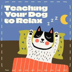 Mastering the Art of Teaching Your Dog to Relax