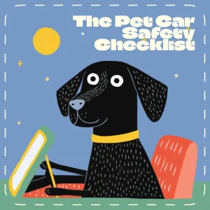 The Pet Car Safety Checklist