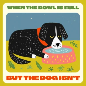 When the Bowl is Full but the Dog Isn’t: A Practical Guide to Hydrating Your Pooch | Dog Hydration eBook | Digital Download for Pet Owners | what to do when your dog won't drink water
