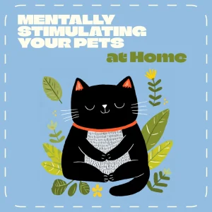 Mentally Stimulating Your Pets at Home | Enrichment eBook for Dogs & Cats | Indoor Activities & Training Ideas | How to Stimulate Pets Mentally Indoors Guide
