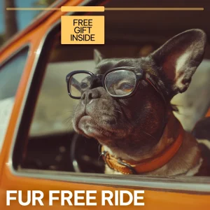 Fur Free Ride | How to Remove Pet Hair from Car Seats Digital Guide, Easy Car Cleaning Checklist for Pet Owners